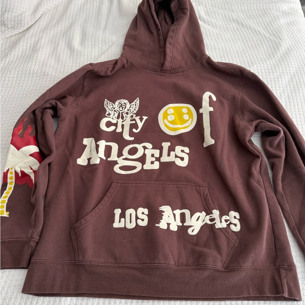 PacSun Brown Hoodie